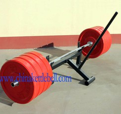 Competition Bumper Plates - Colour image