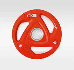 Competition Bumper Plates - Colour image